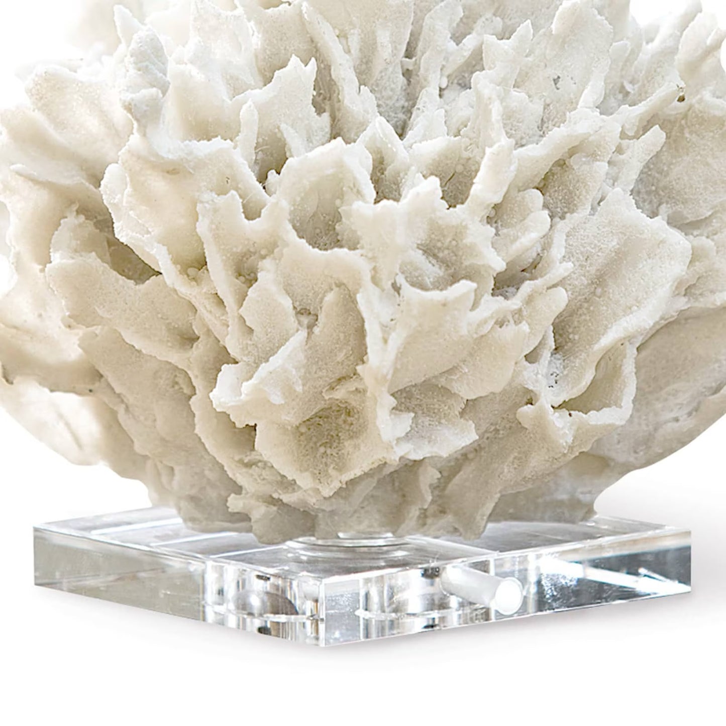 Ribbon Coral - White