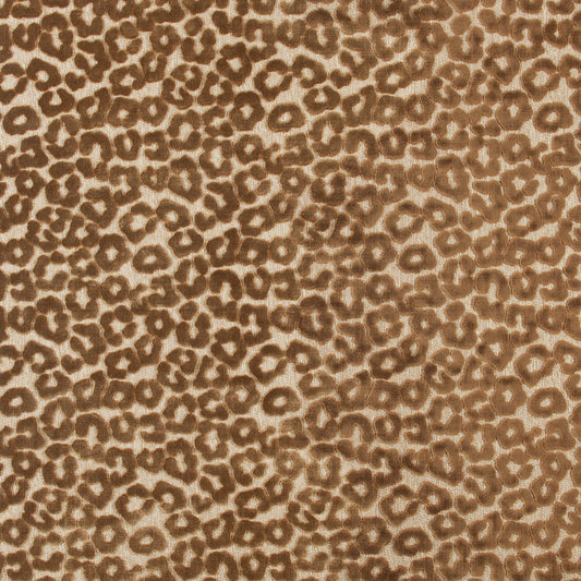 TP20 Judah Toffee, Grade 25