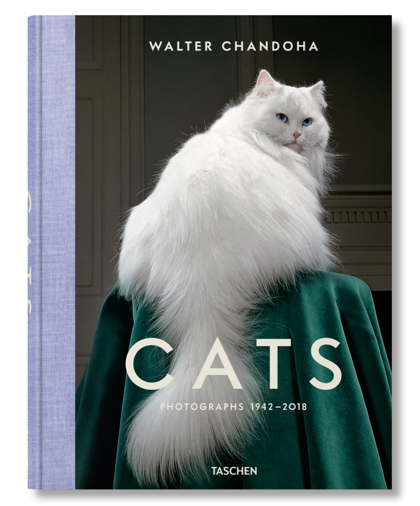 CATS: Photographs 1942-2018