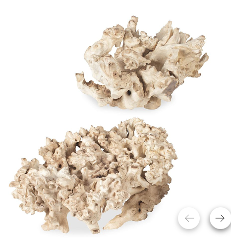 Elemental Root Indoor / Outdoor Sculpture (Set of 2)