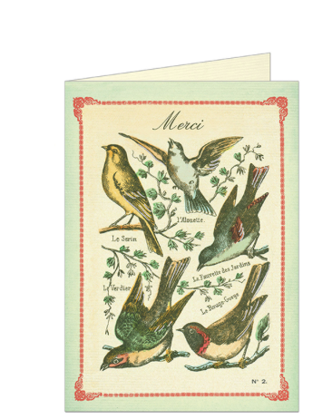 Birds - Merci Card