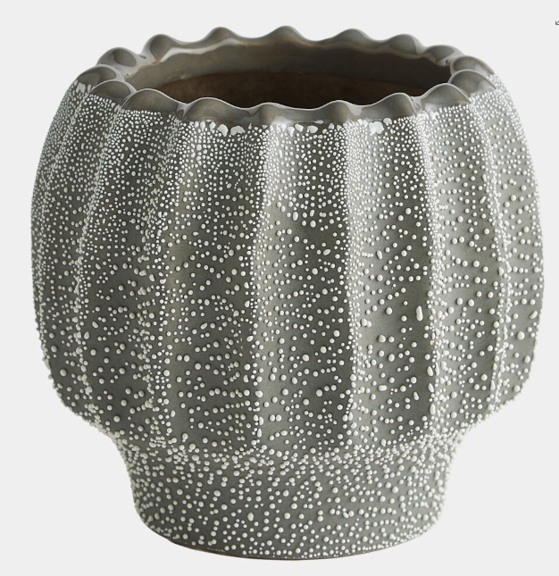 Echinus Vase-Gray-Small