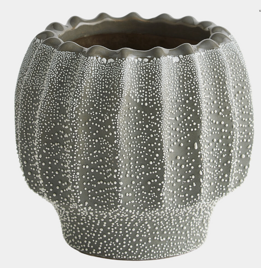 Echinus Vase-Gray-Small