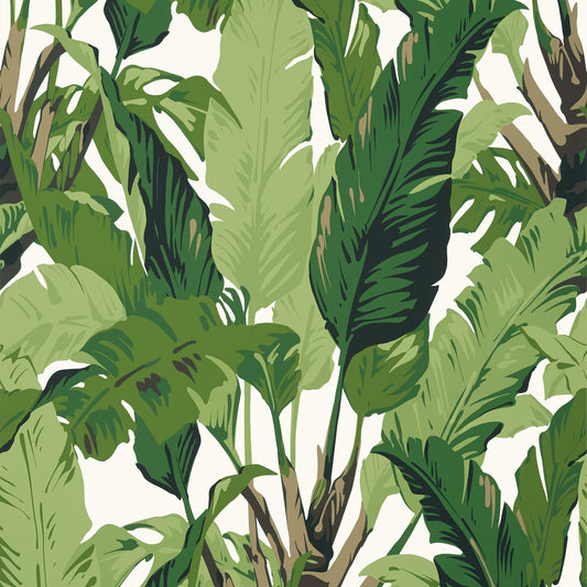 Travelers Palm / Green Wallpaper