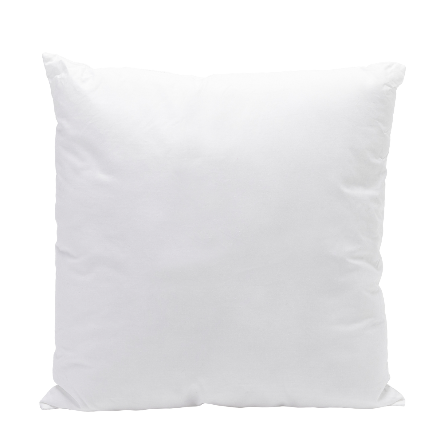 Down Feather Throw Pillow Insert: 22" x 22"