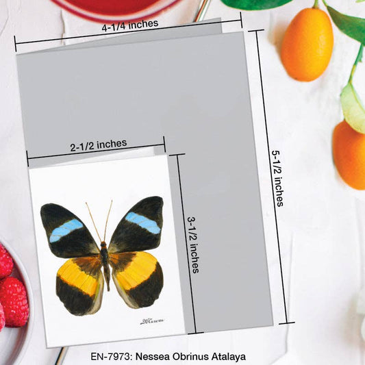 Nessea Obrinus Atalaya Butterfly, Greeting Card (#7973B): EN Card