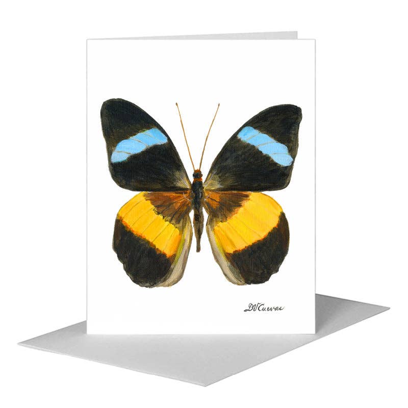 Nessea Obrinus Atalaya Butterfly, Greeting Card (#7973B): EN Card