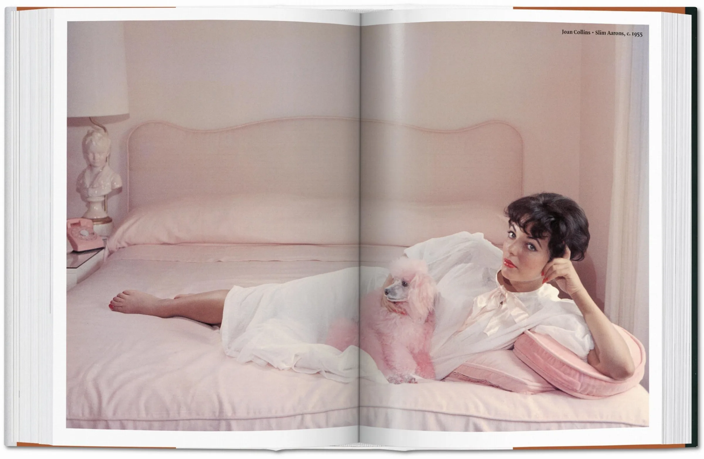 Dog in Photography Book