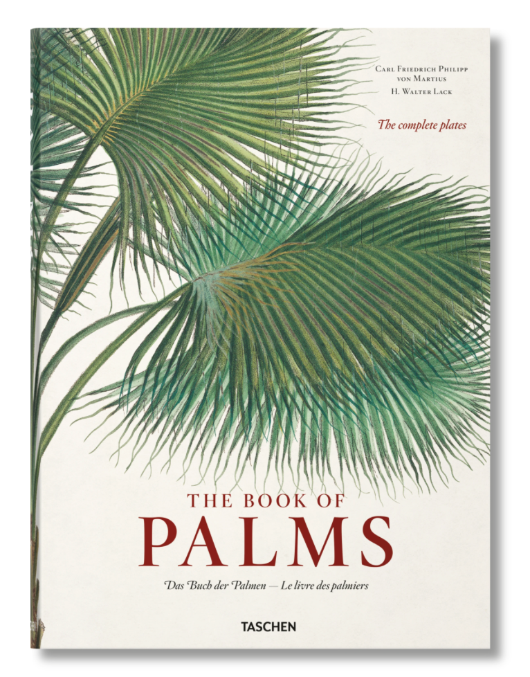 Martius: The book of Palms