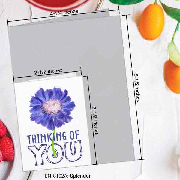 Splendor, Greeting Card (#8102A): EN Card