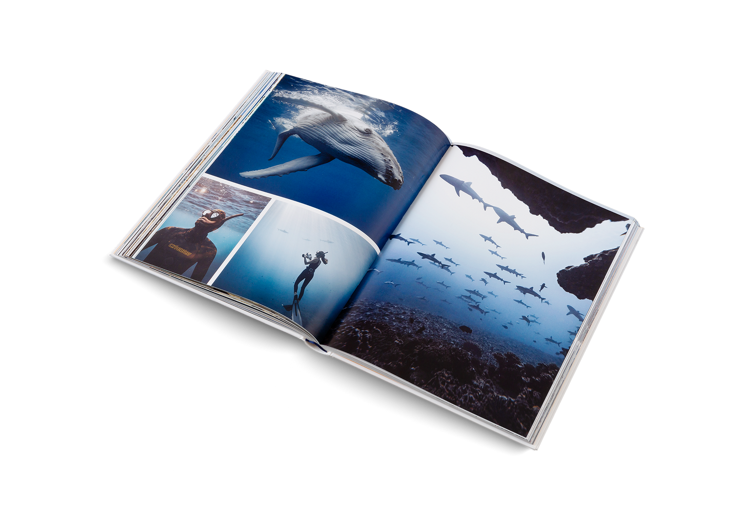 Boatlife – Exploring the Freedom of Maritime Living