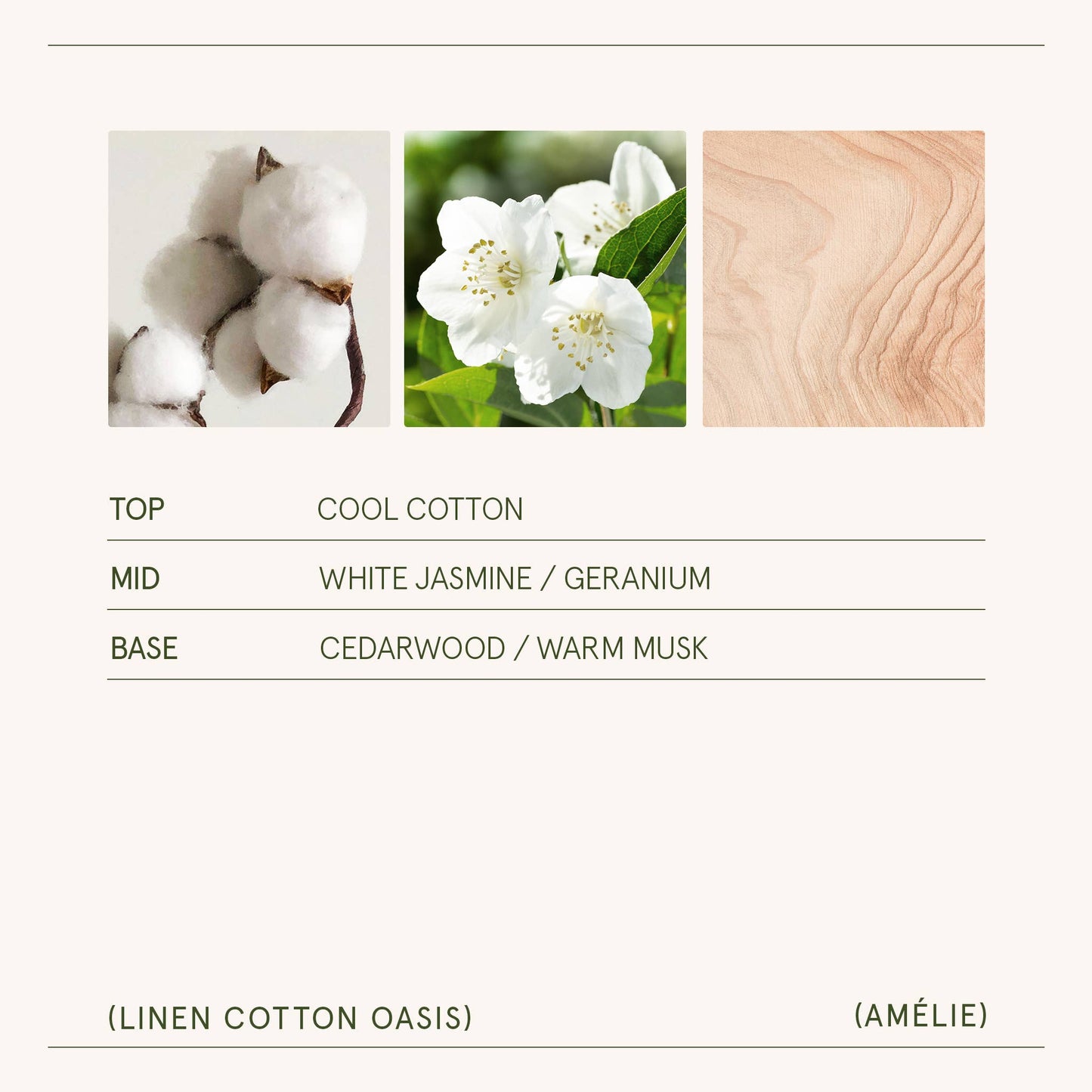 Scented Candle - Linen Cotton Oasis - 7oz | La Jolie Muse