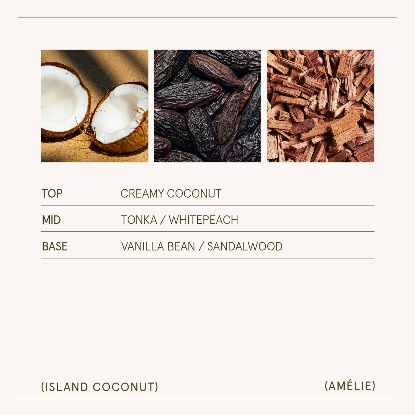Amélie - Island Coconut 7oz Candle Tester