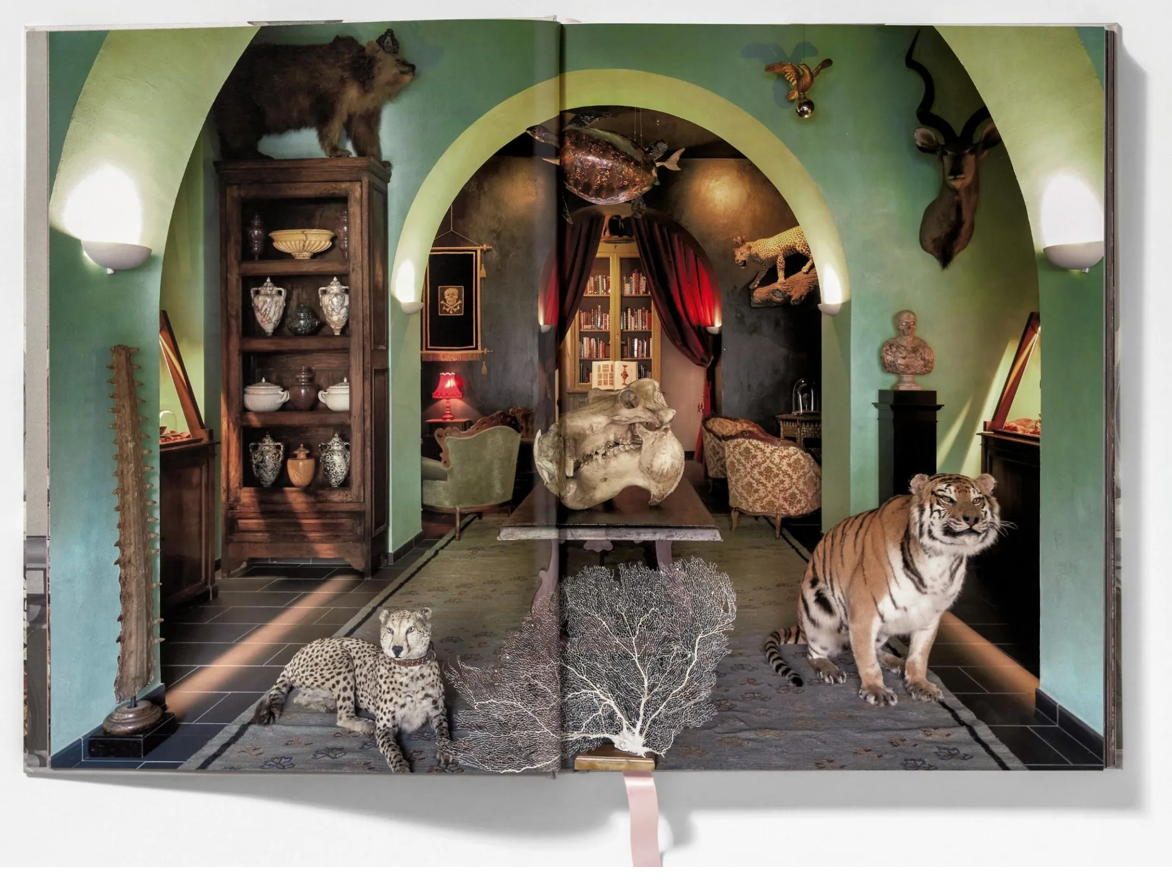 Listri: Cabinet of Curiosities