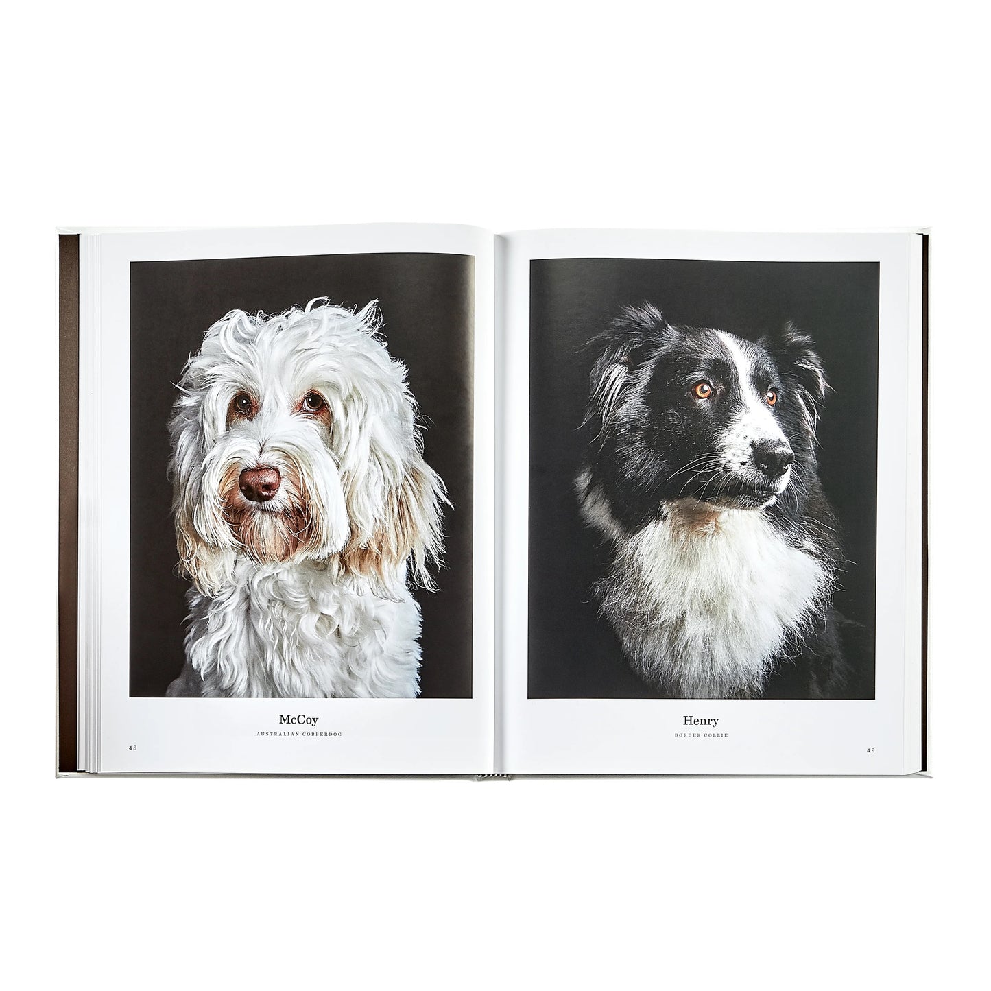 Good Dog Leather Book