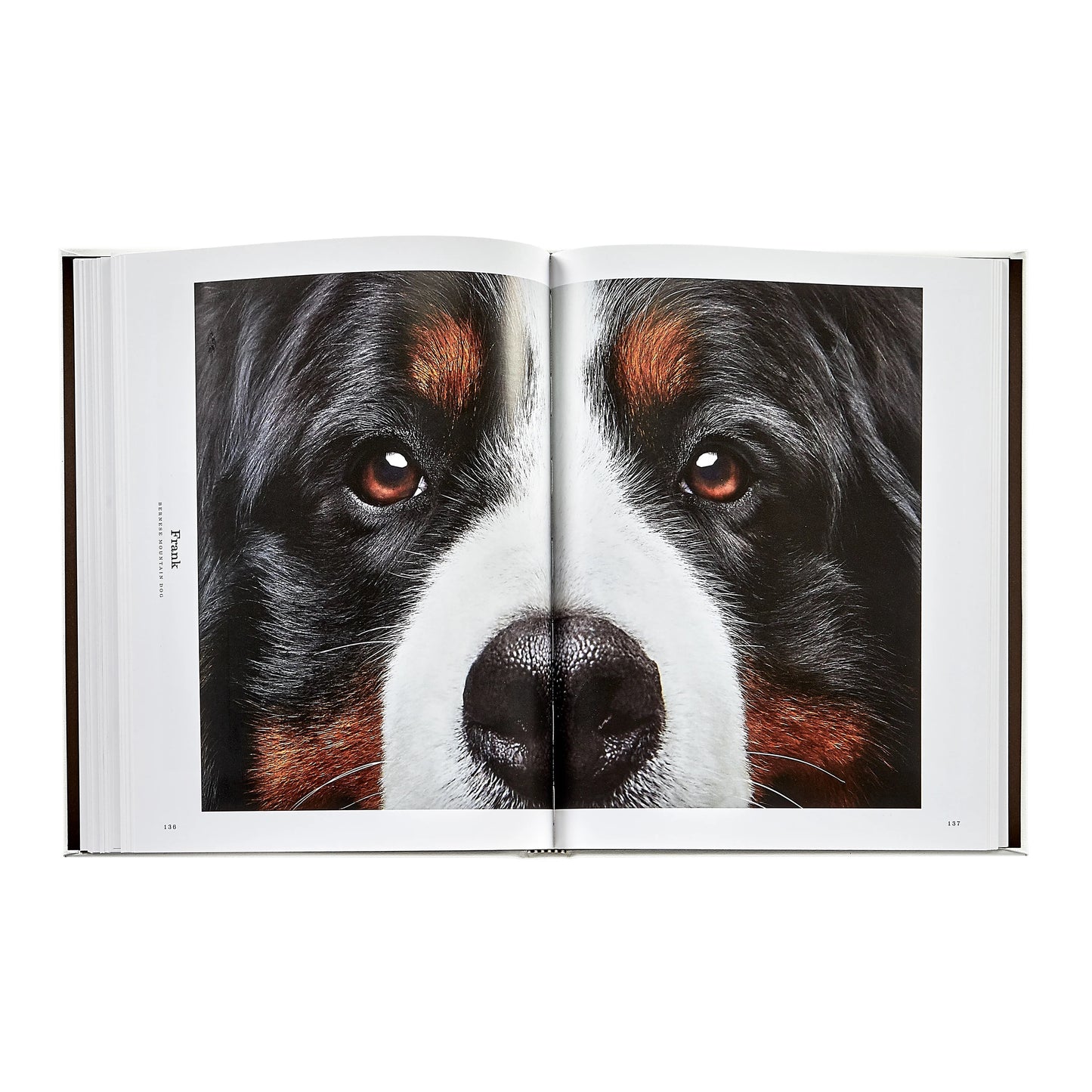 Good Dog Leather Book