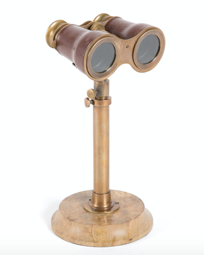 Binoculars with Stand