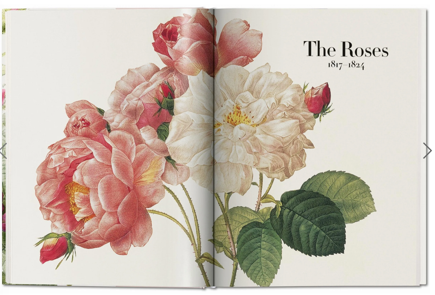 Redoute: The Book of Flowers