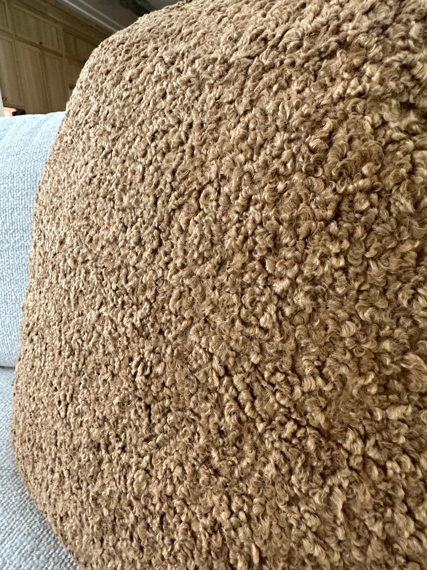 Zazzle Camel Pillow