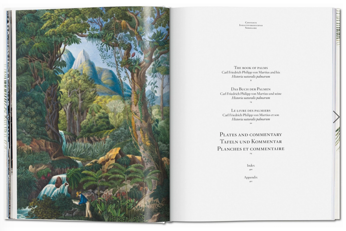 Martius: The book of Palms