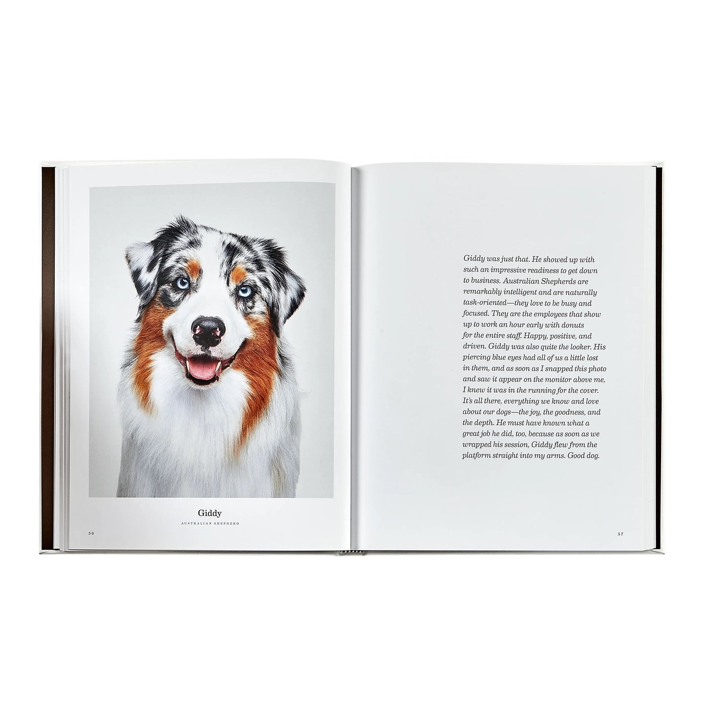 Good Dog Leather Book