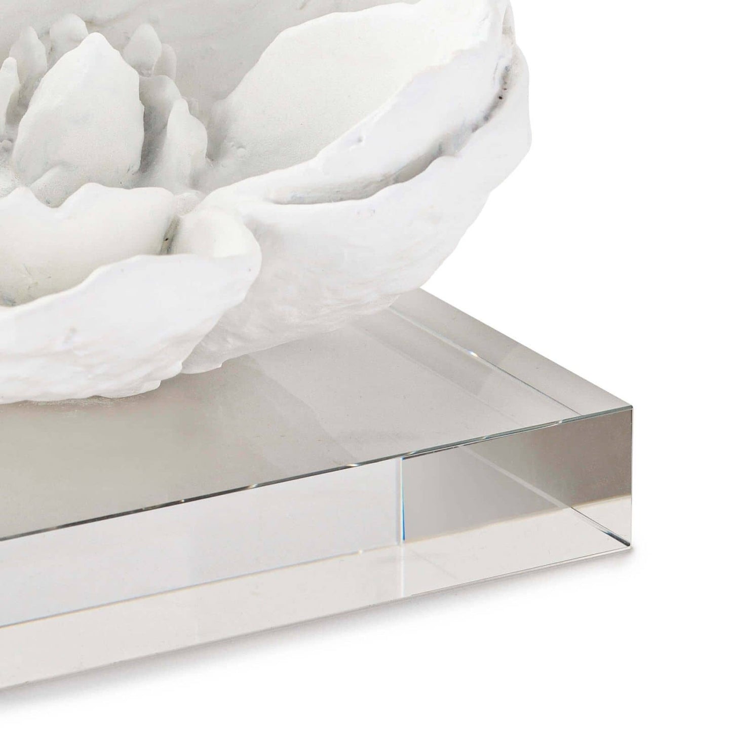 Magnolia Objet White