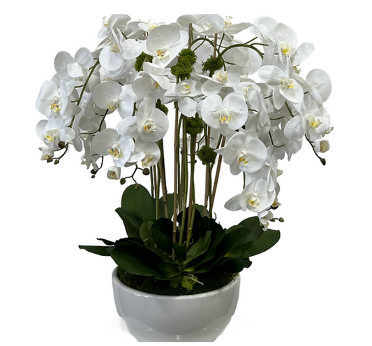 Faux Orchid Large White Bowl x 9 Orchid Large Scale