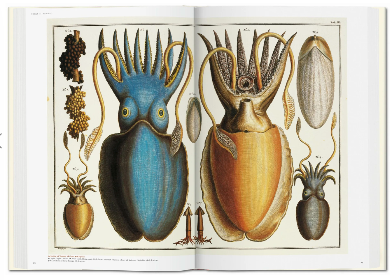 Seba. Cabinet of Natural Curiosities