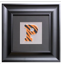 Princeton Framed Vintage Patch