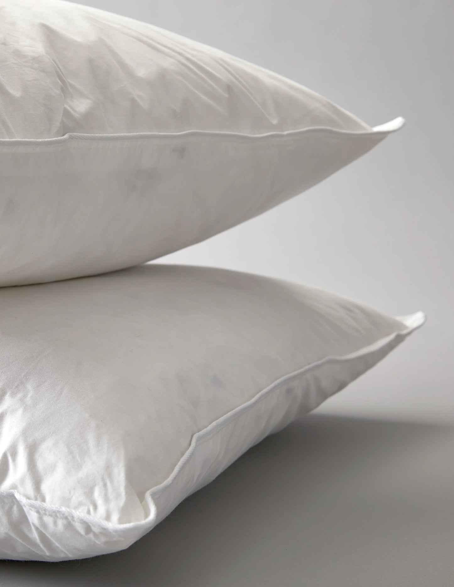 25" x 25" Pillow / REVIVAL