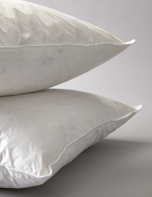 25" x 25" Pillow / REVIVAL