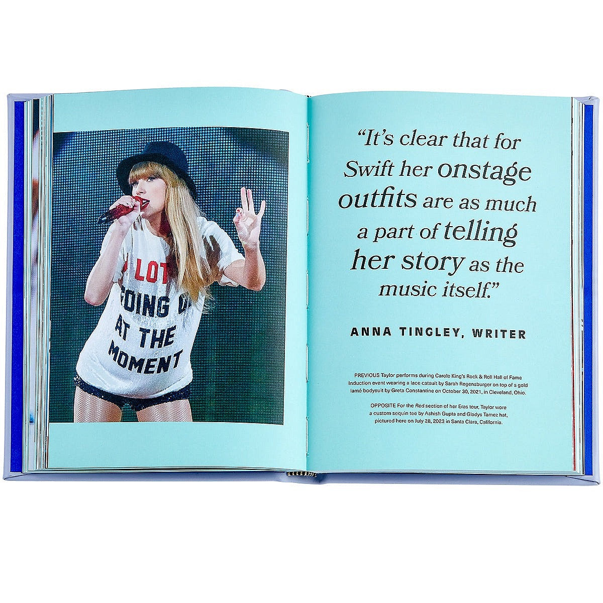 Taylor Swift, Icons of Style