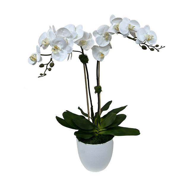 Faux Orchid Drop In for Wood Vessel