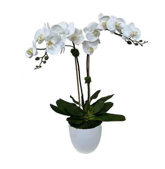 Faux Orchid Drop In for Wood Vessel