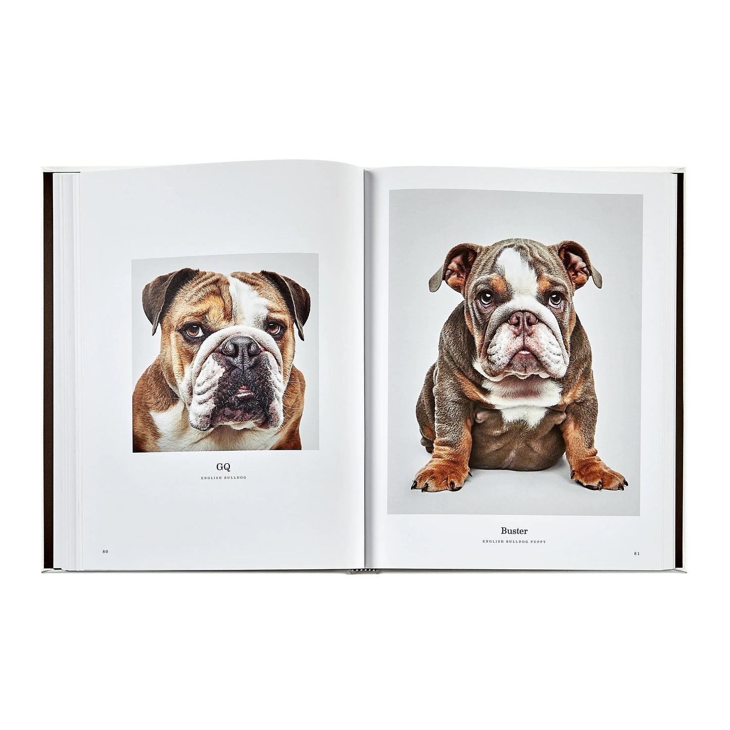 Good Dog Leather Book