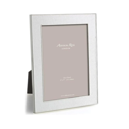 White Snake & Silver Frame, 4" x 6"