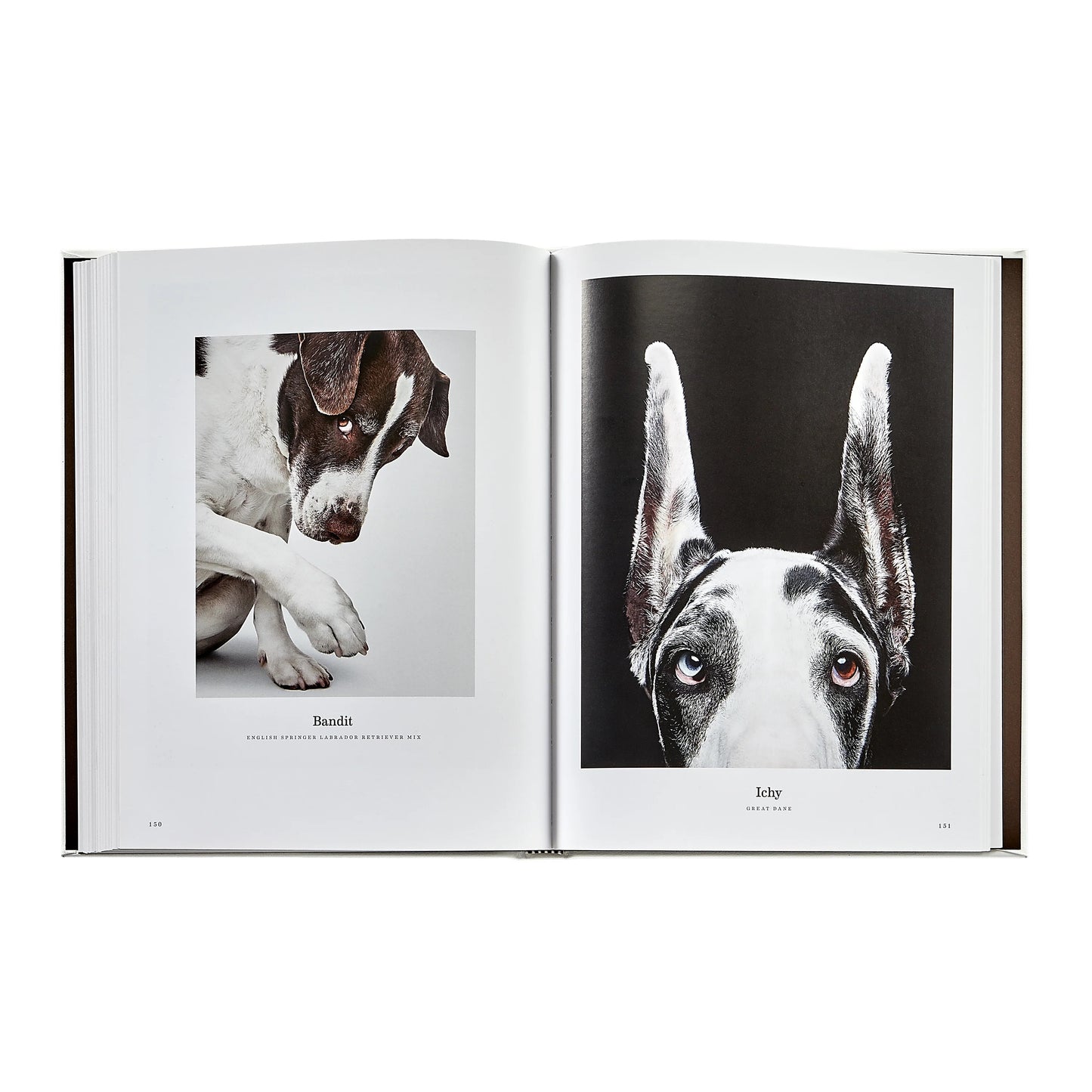 Good Dog Leather Book