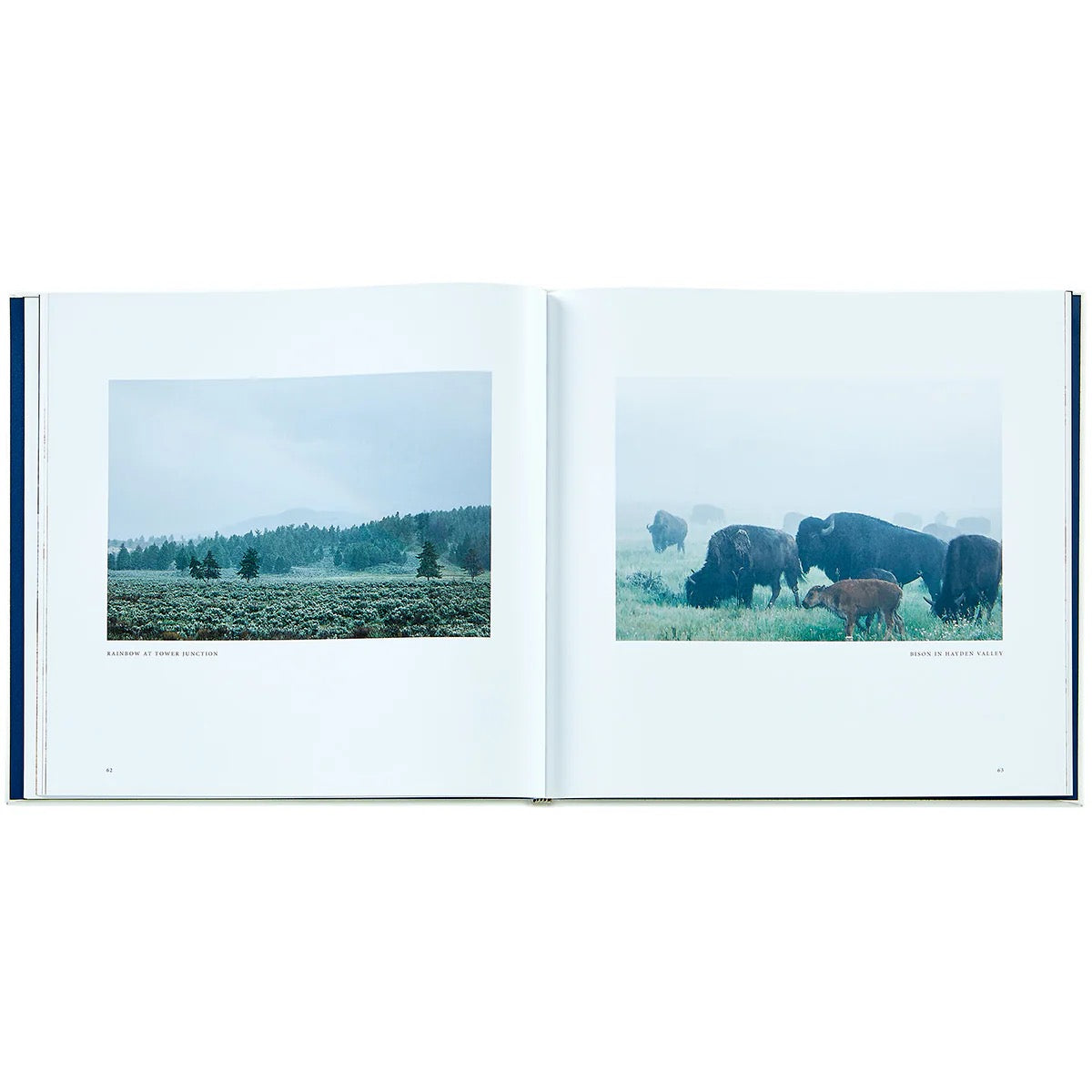 Yellowstone - A land of Wild and Wonder - Book