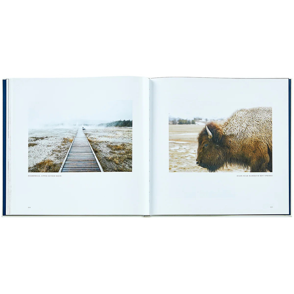 Yellowstone - A land of Wild and Wonder - Book