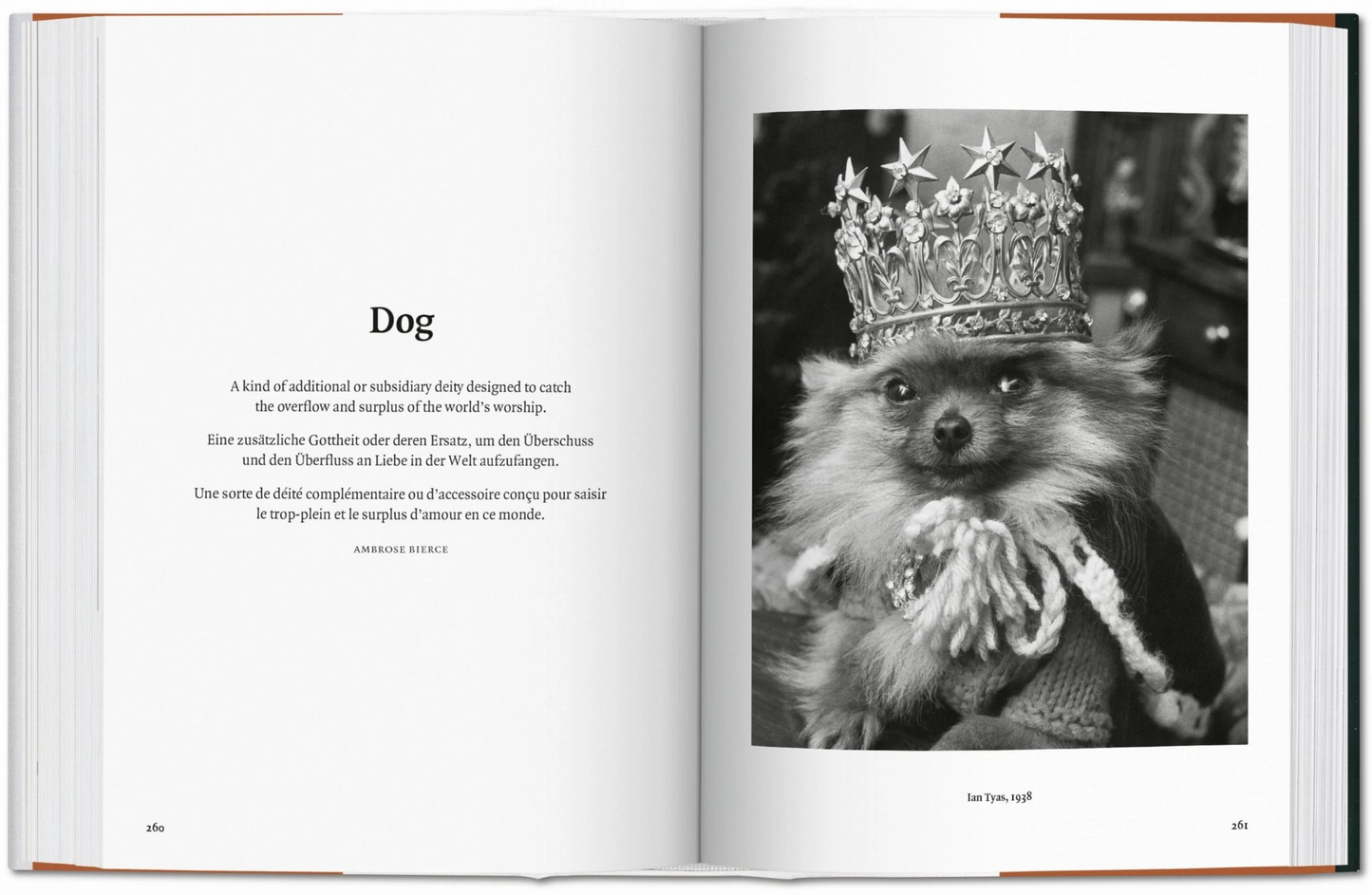 Dog in Photography Book