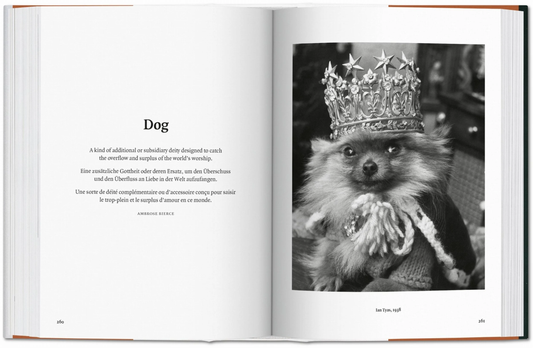 Dog in Photography Book