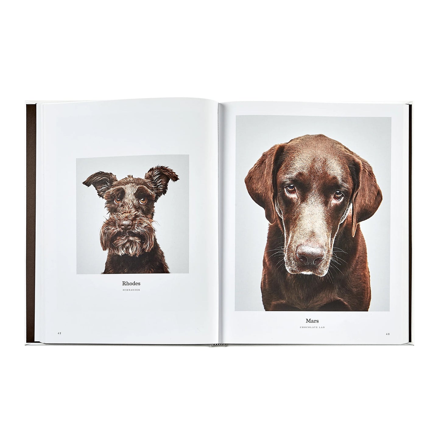 Good Dog Leather Book
