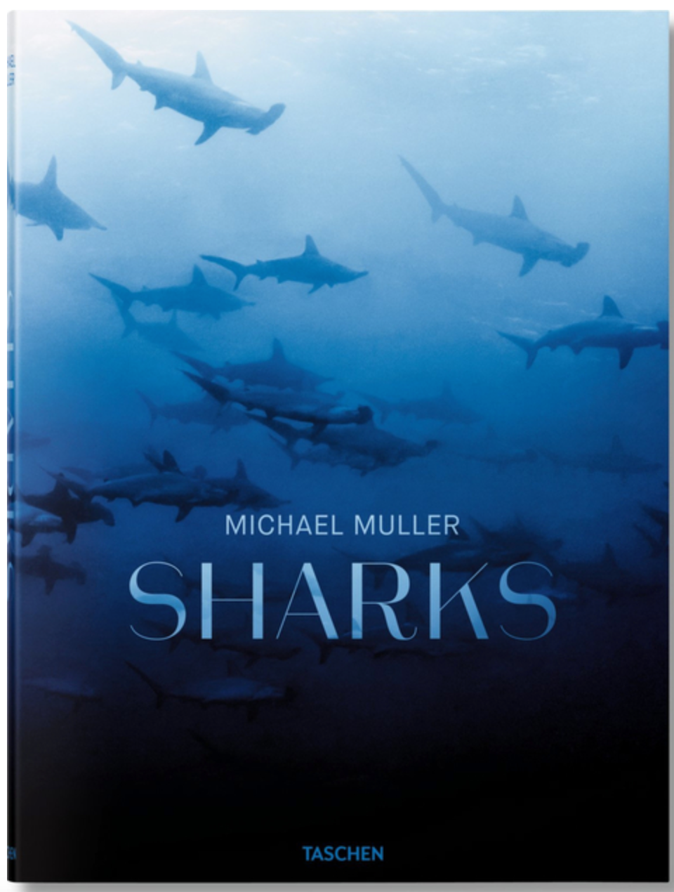 Sharks Book